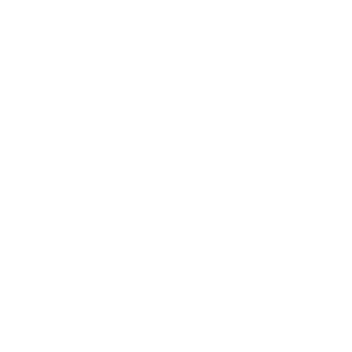 Duplex
