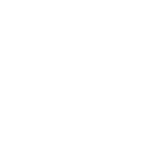 Il Bisonte 