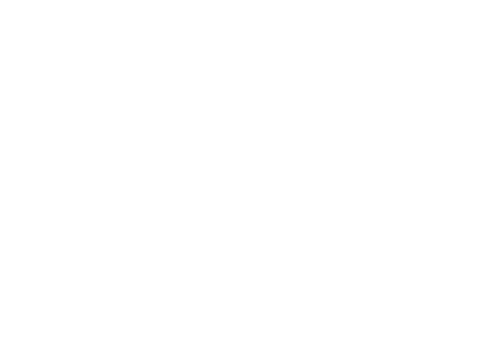 Nodus